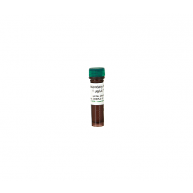 Secondary Antibody 15 ul @ 1 ug/ul '**'