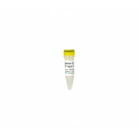 Negative Control 50 ul (100 ng/ul) '**'