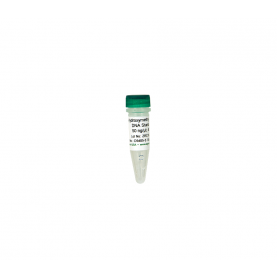 5-Hydroxymethylcytosine DNA Standard (2 µg)  '**'