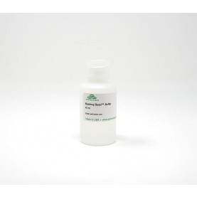 BashingBead Buffer (40 ml)