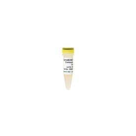 ZymoBIOMICS™ Microbial Community Standard
