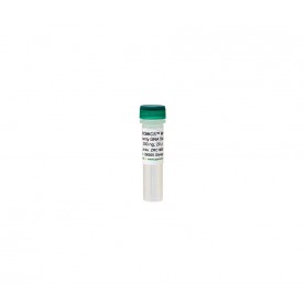 ZymoBIOMICS™ Microbial Community DNA Standard (200 ng)