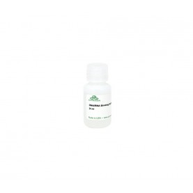 DNA/RNA Binding Buffer (25 ml)