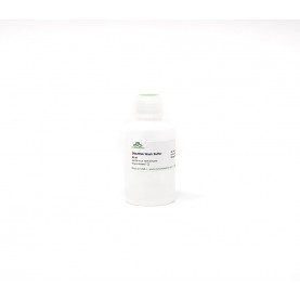 DNA/RNA Wash Buffer (concentrate) (24 ml)