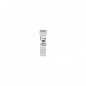 Zymolyase (1000 Units Lyophilized)  w/  Storage Buffer (500µl) ^