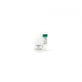 DNase I Set (250 U) w/ DNA Digestion Buffer (4 ml) ^