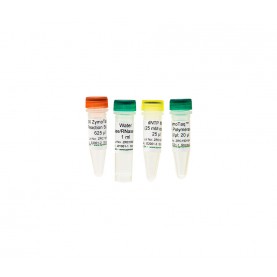 ZymoTaq™ Polymerase (50 Rxns)