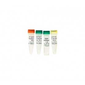 ZymoTaq™ Polymerase (200 Rxns)