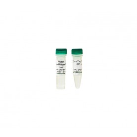 ZymoTaq™ PreMix (50 Rxns)