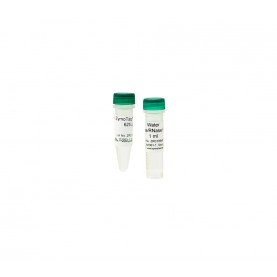 ZymoTaq™ PreMix (200 Rxns)