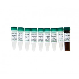 Femto™ Human DNA Quantification Kit