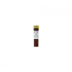Femto™ Bacterial qPCR Premix