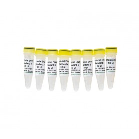 Bacterial DNA Standards and No Template Control (#1-8)