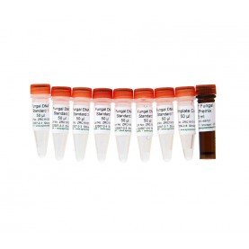 Femto™ Fungal DNA Quantification Kit