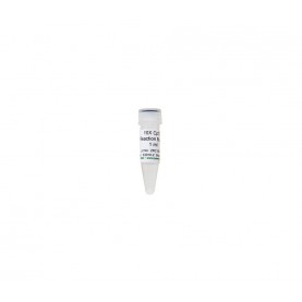 10X CpG Reaction Buffer (1 ml) ^^  '**'