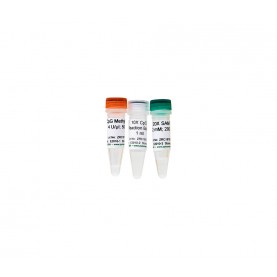 CpG Methylase (M. Sssl) (200 U) ^^ '**'
