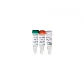 CpG Methylase (M. Sssl) (400 U) ^^  '**'