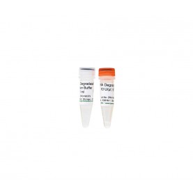 DNA Degradase™ (500 U)