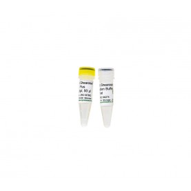 dsDNA Shearase™ Plus 50 U (1 U/ul) '**'