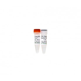 DNA Degradase Plus™ (250 U)