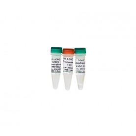 5-hmC Glucosyltransferase (100 U)