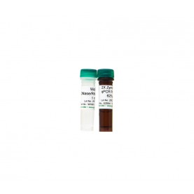 ZymoTaq qPCR Premix (200 Rxns) '**' ^