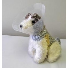 JORGENSEN LABS INC J0047E CASEY CLIC COLLAR 25CM EACH J0047E