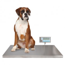 JORGENSEN LABS INC J0825QM WALK ON SCALE 42INCH J0825QM
