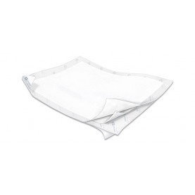 Underpad, Quilted, 30" x 36", 10/bg, 4 bg/cs (Continental US Only)