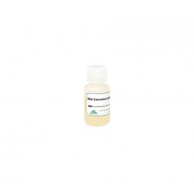 RNA Extraction Buffer Plus (20 ml)