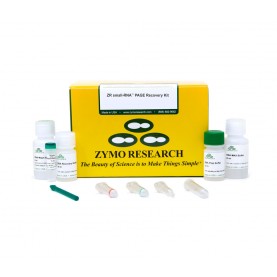 ZR small-RNA™ PAGE Recovery Kit (20 Preps)
