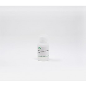 Cell-free Recovery Buffer, 20ml
