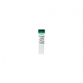 ZR small-RNA™ Ladder  (10 μg)