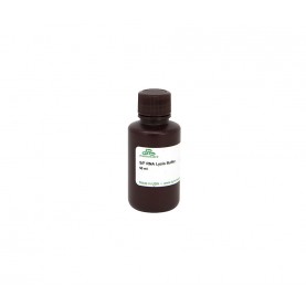 S/F RNA Lysis Buffer (50 ml)