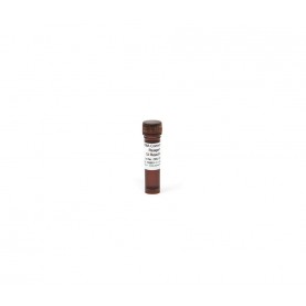 RNA Conversion Reagent (1 tube) (1.5 ml)