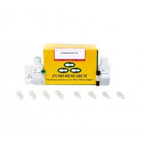 EZ RNA Methylation Kit (200 prep)