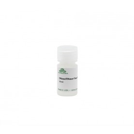 DNase/RNase-Free Water (10 ml)