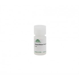 DNase/RNase-Free Water (6 ml)