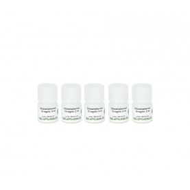 Zymo Research A1002-25 Chloramphenicol Solution