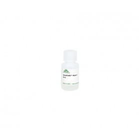 Zymo Research D4200-5-20 ZymoPURE Wash 1