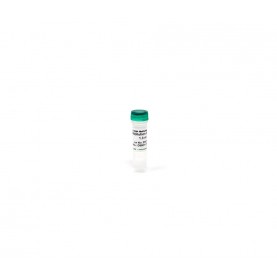 Zymo Research D5001-2 M-Dilution Buffer