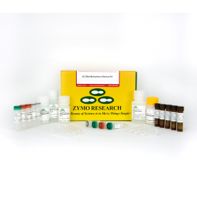 Zymo Research D5024 EZ DNA Methylation-Startup Kit