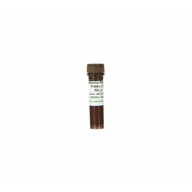 Zymo Research D5310-2 2X Reference Reaction PreMix