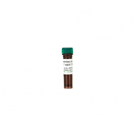 Zymo Research D5325-3-30 Secondary Antibody