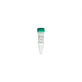 Zymo Research D5405-2 5-Methylcytosine DNA Standard