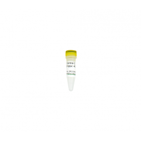 Zymo Research D5425-5-3 Control C (100 ng/µl)