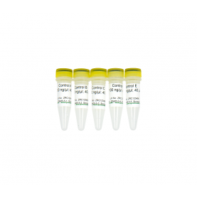 Zymo Research D5425-5-C Control DNA Set