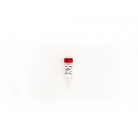 Zymo Research D6310 ZymoBIOMICS Microbial Community Standard II (Log Distribution)