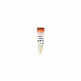 Zymo Research E1008-30 RNase A