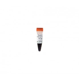 Zymo Research M5004-50 ZR 50 bp DNA Marker (Ready-to-Load)